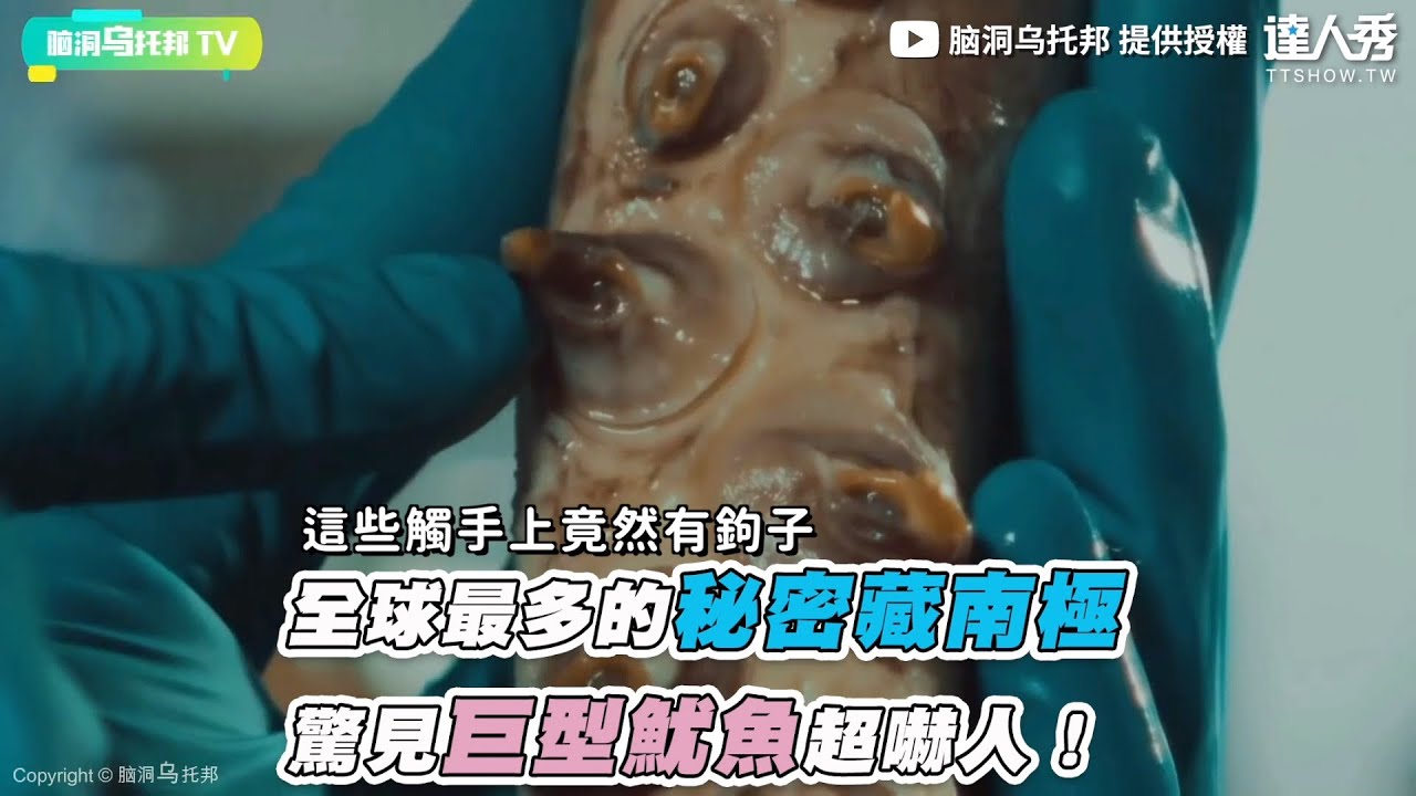 【全球最多的秘密藏南極 抓到巨型魷魚心驚驚！】｜@NDWTB