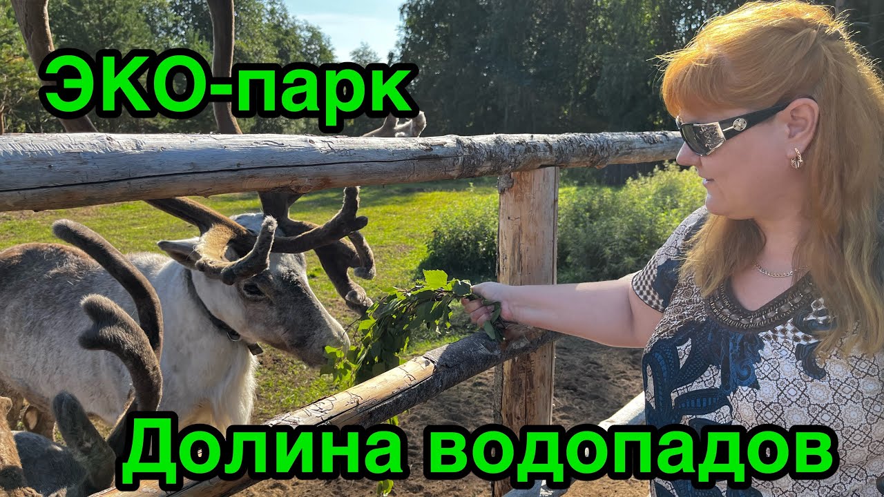 КАРЕЛИЯ / ЭКО-парк Долина водопадов | Кормление северных оленей