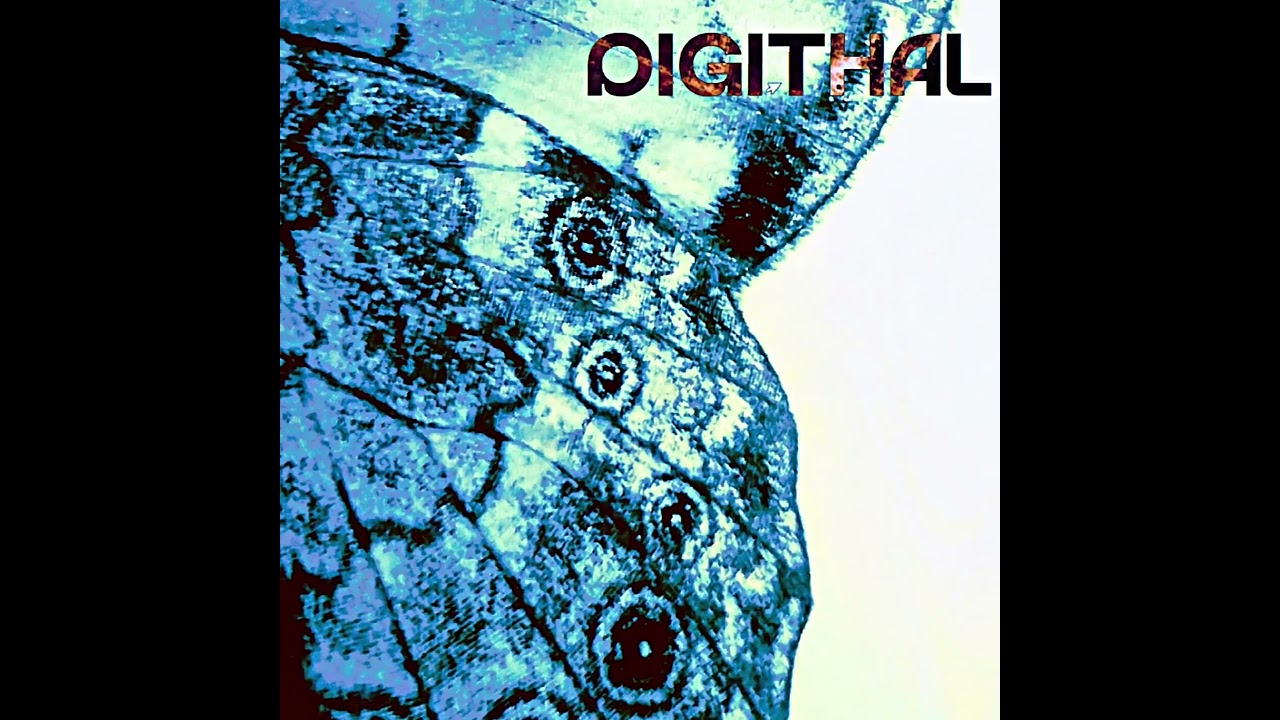 DIGITHAL - Digested Butterflies (Official Audio)