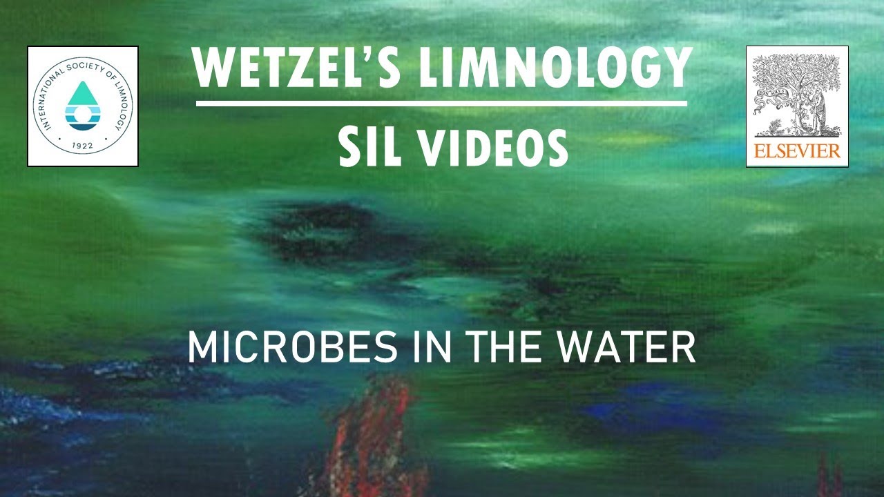 Microbes in the Water - Wetzel's Limnology SIL Video