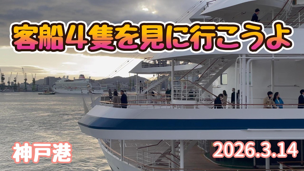 【客船4隻をに見に行こうよ】神戸港 客船フェスタ４隻出航の日（2026.3.14）