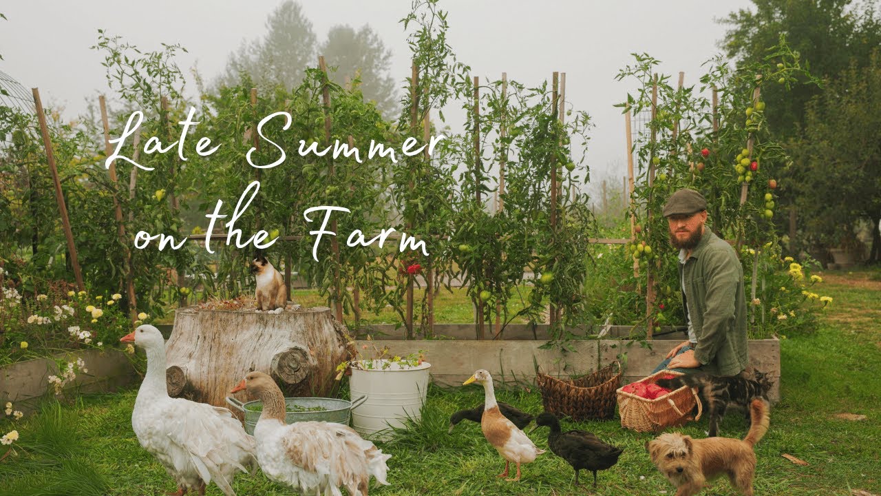 Harvest Season on the Farm: Canning Tomatoes & Creating Cozy Spaces