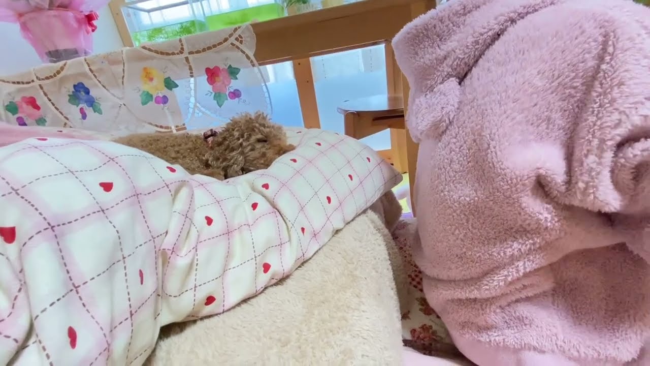 オーラの色とエネルギーを感じてみた