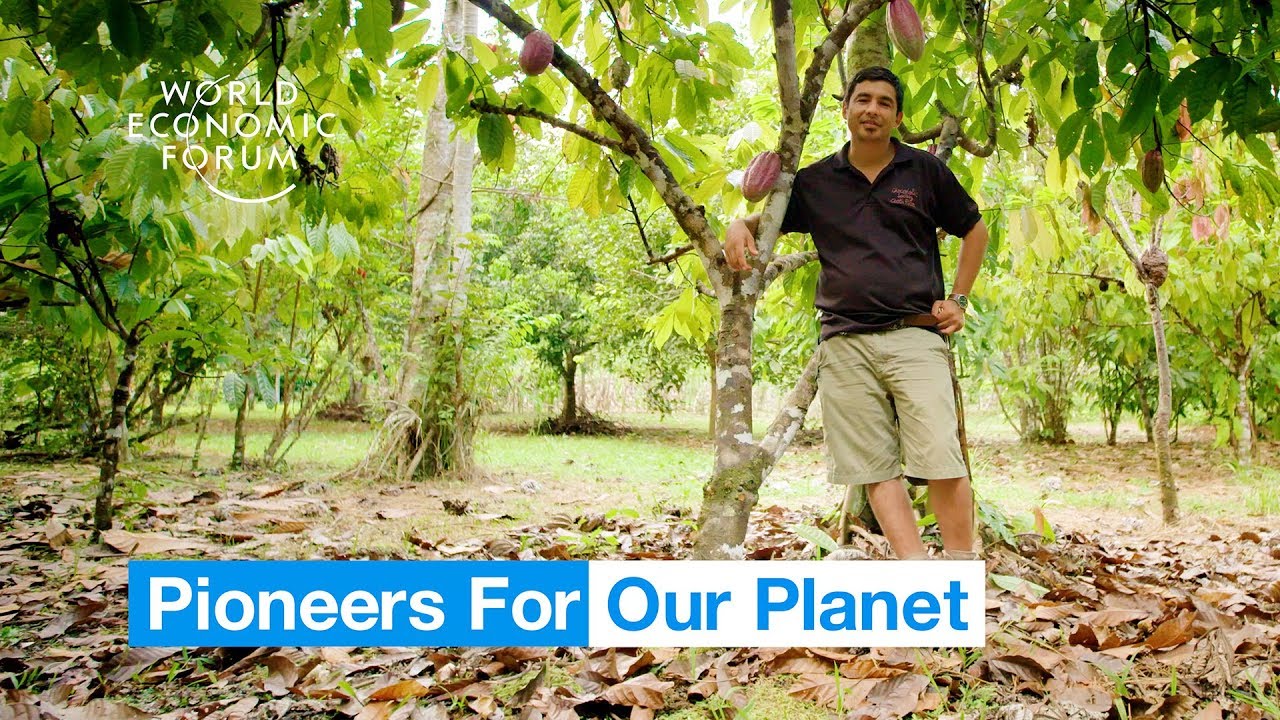 This farmer is saving the jungle by growing food in it | Pioneers for Our Planet