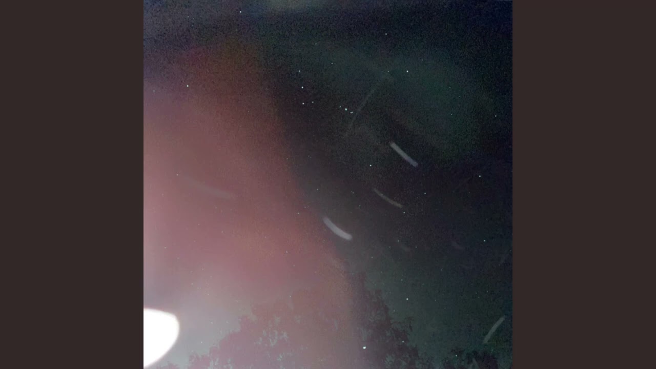 Holding the flowers you gave to me