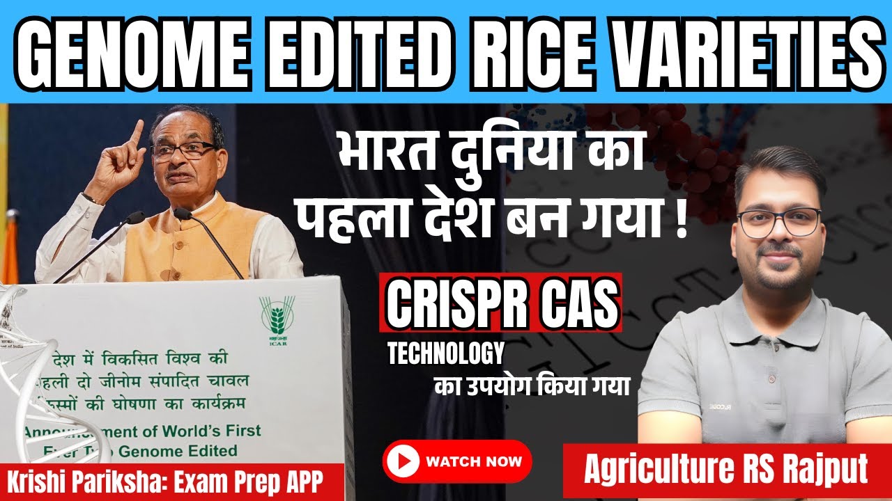 Genome Edited Varieties of Rice | DRR RICE 100 | PUSA DRT RICE 1 | CRISPR CAS Technology