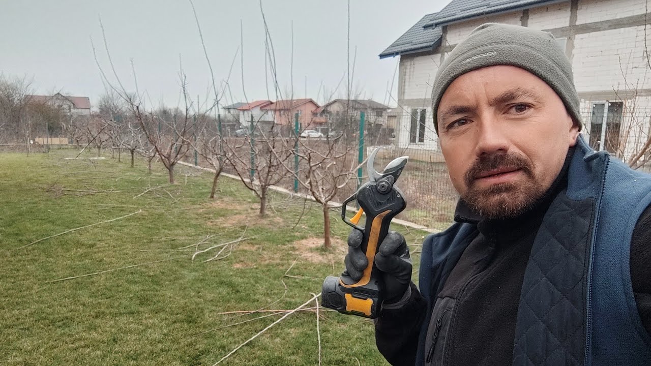 Al doilea an în care curăț această livada de familie 🍎🍑🫐🍐🍒