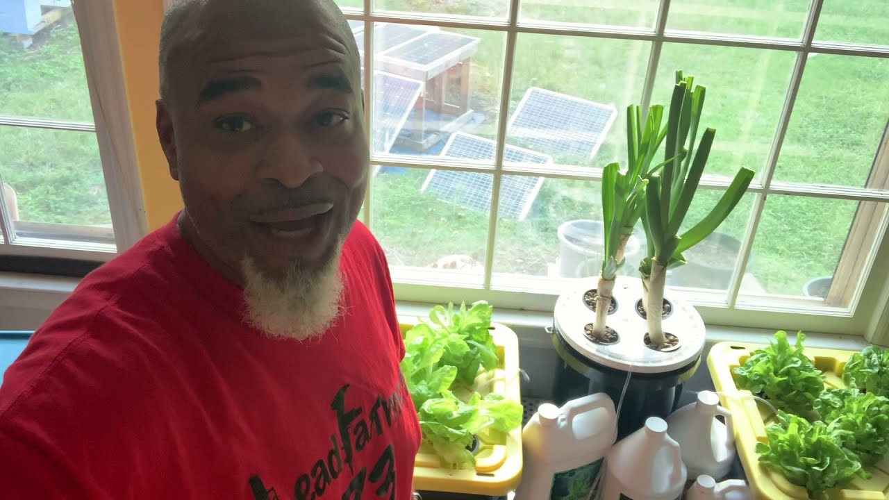 hydroponic gardening indoors using solar power