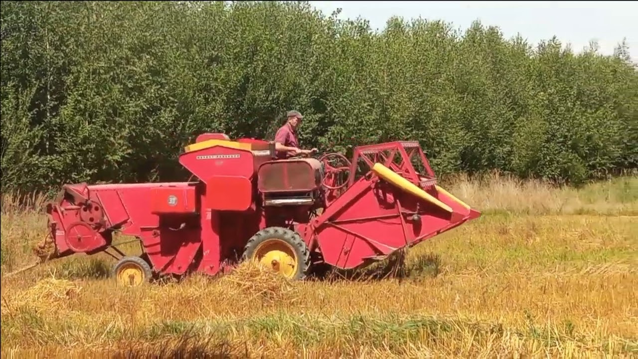 Kombajn MF30 - żniwa 2024 ciąg dalszy