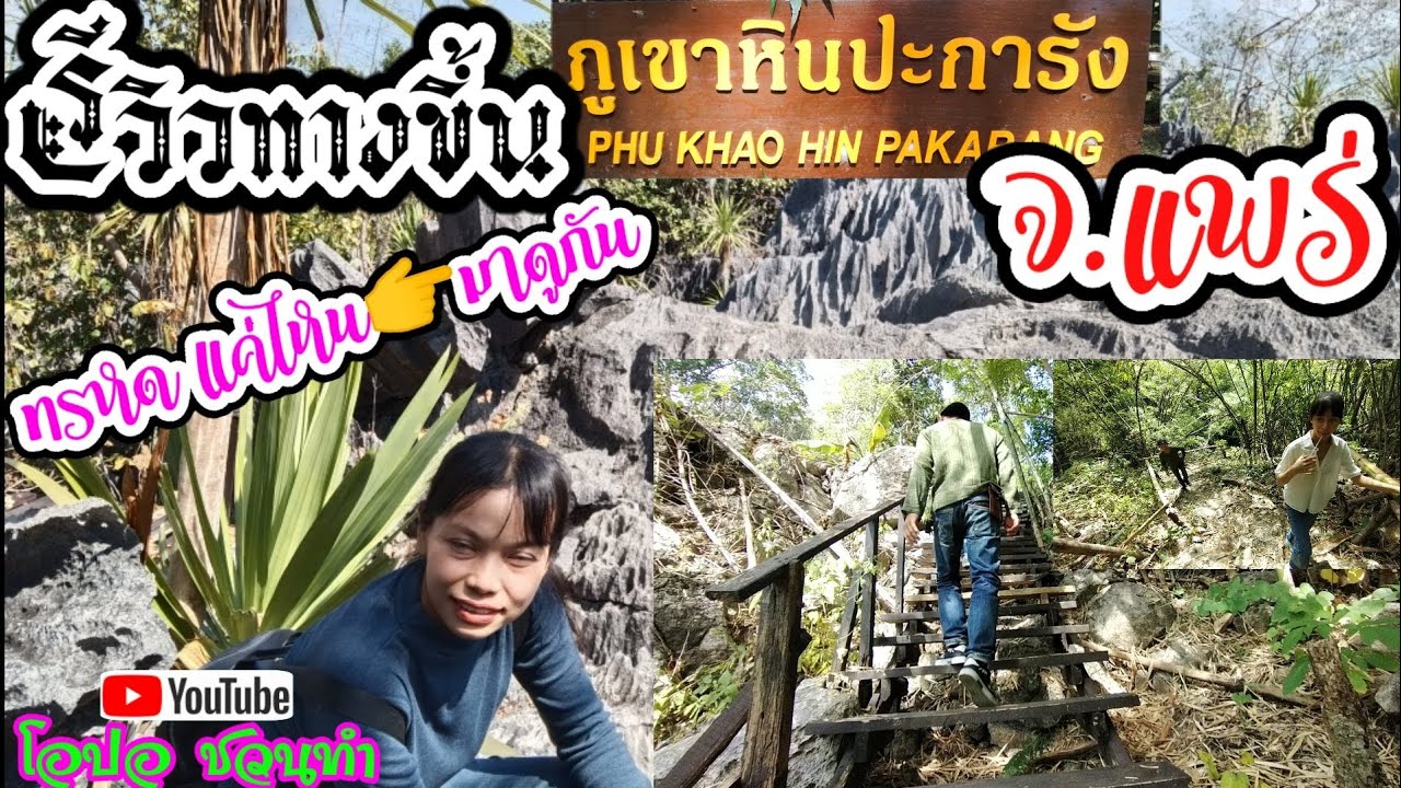 รีวิวทางขึ้นภูเขาหินปะการังจังหวัด แพร่ สวย คุ้ม น่าเที่ยว ต้องไปชมให้ได้ep86|โอปอ ชวนทำ