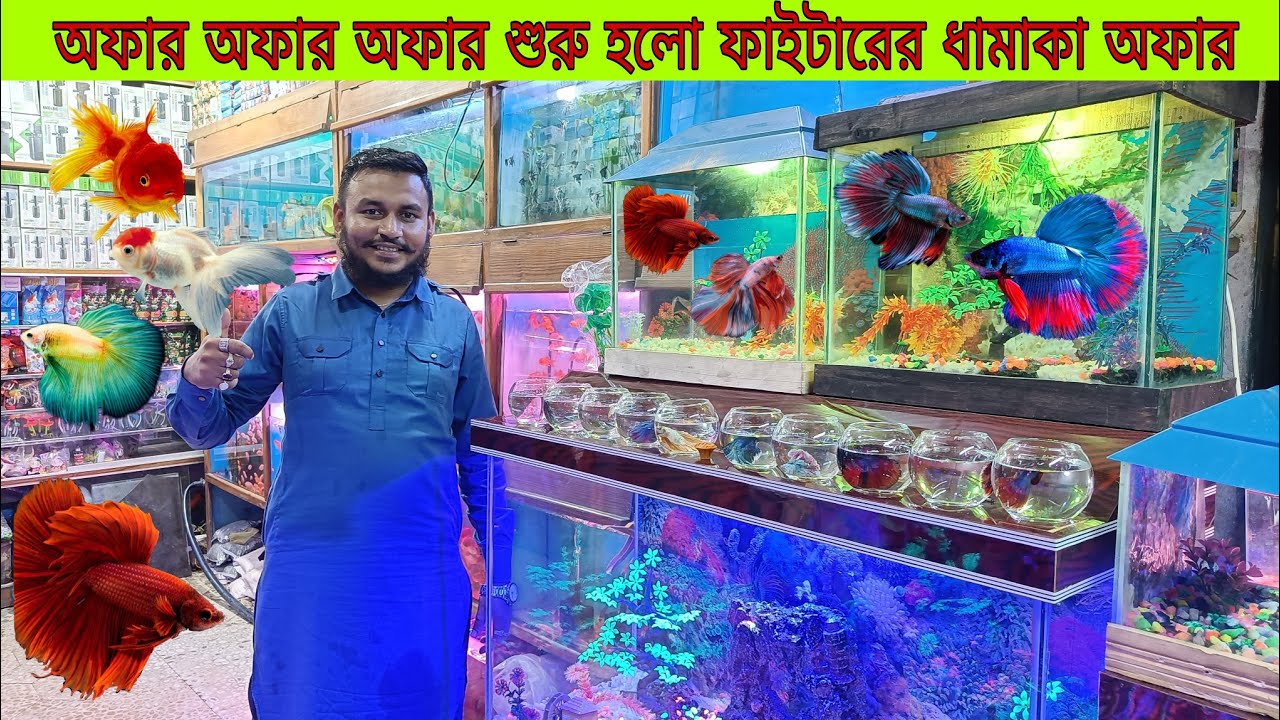 Aquarium Fish Price In katabon 2025|🐠🐠 Aquarium Fish Price | Aquarium | AR Rahman aquarium🐠🐠