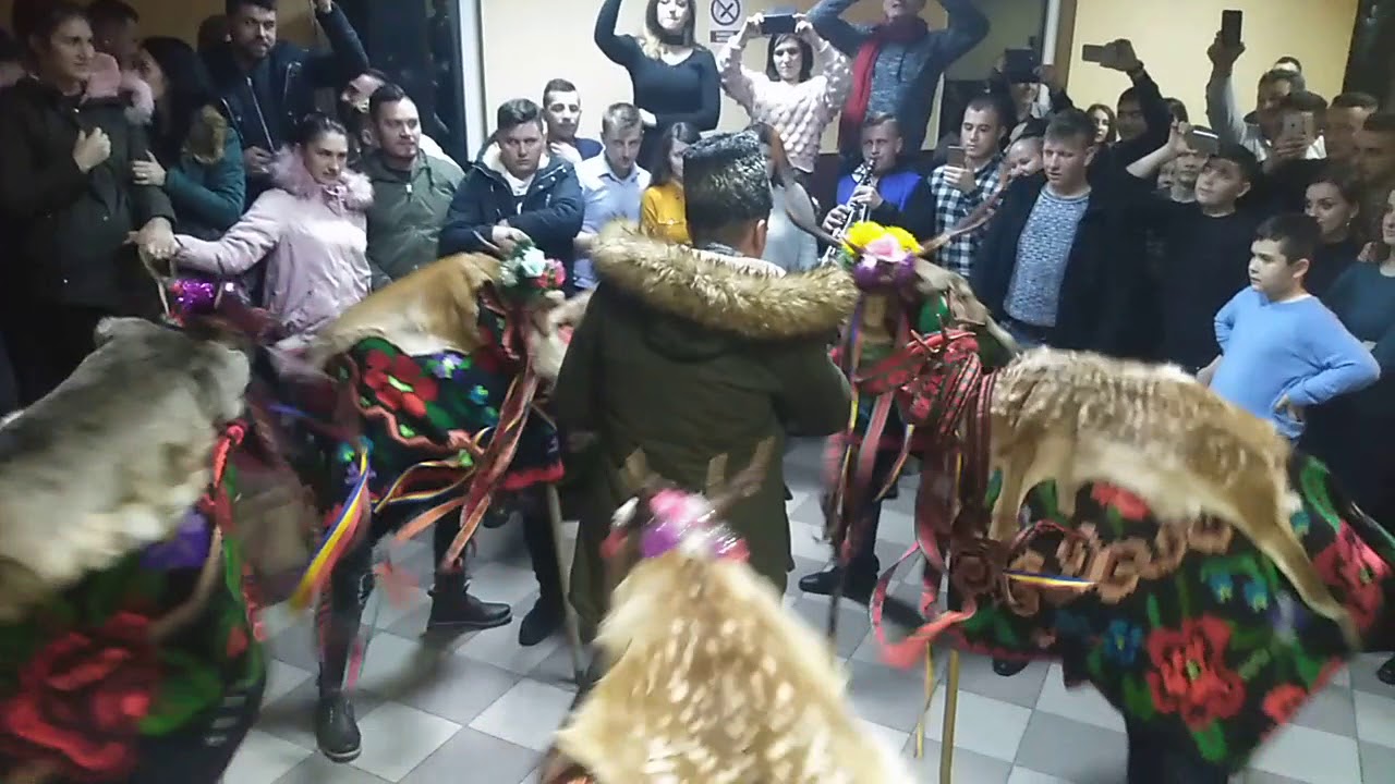 Belciugarii din Ilva Mare