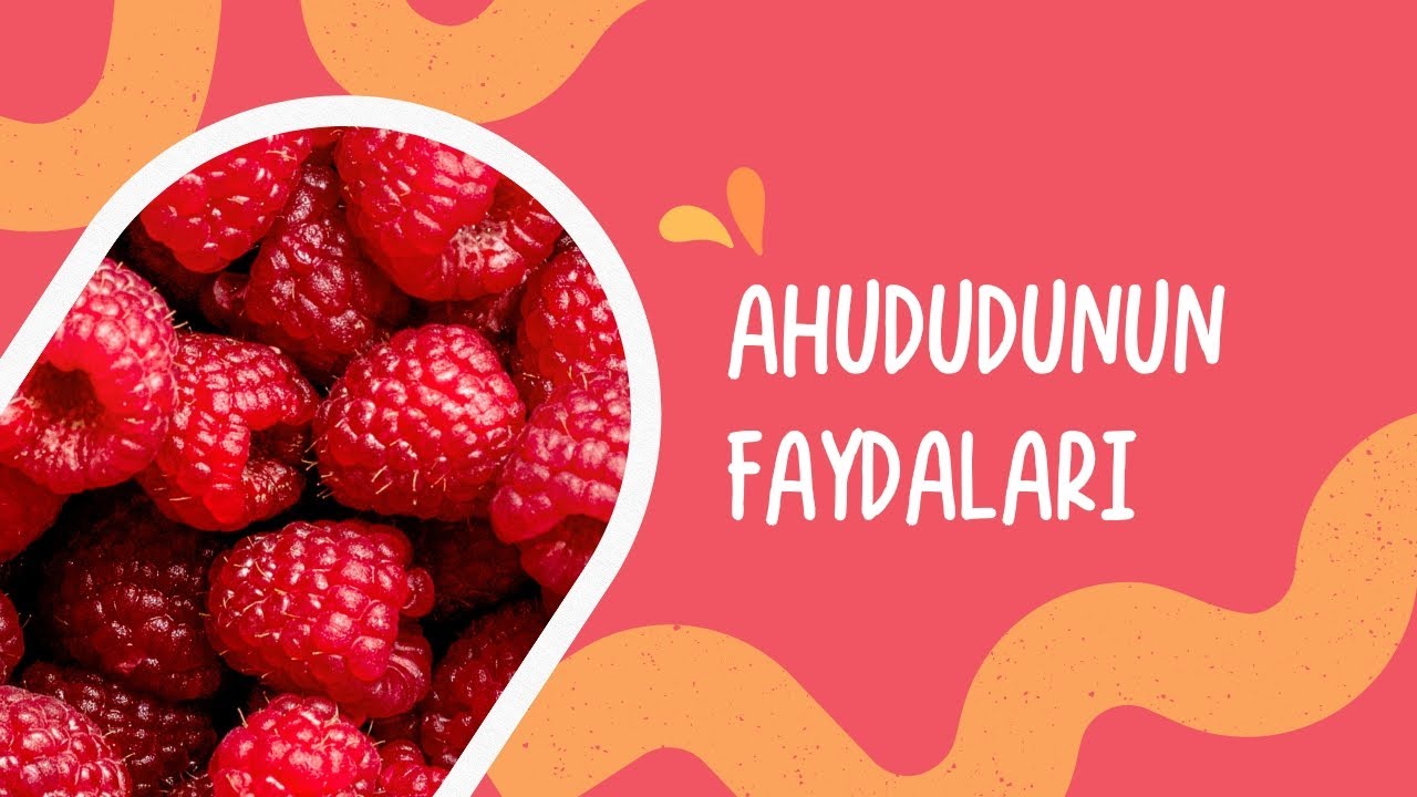 AHUDUDUNUN FAYDALARI - SEĞMEN AHUDUDU REÇELİ
