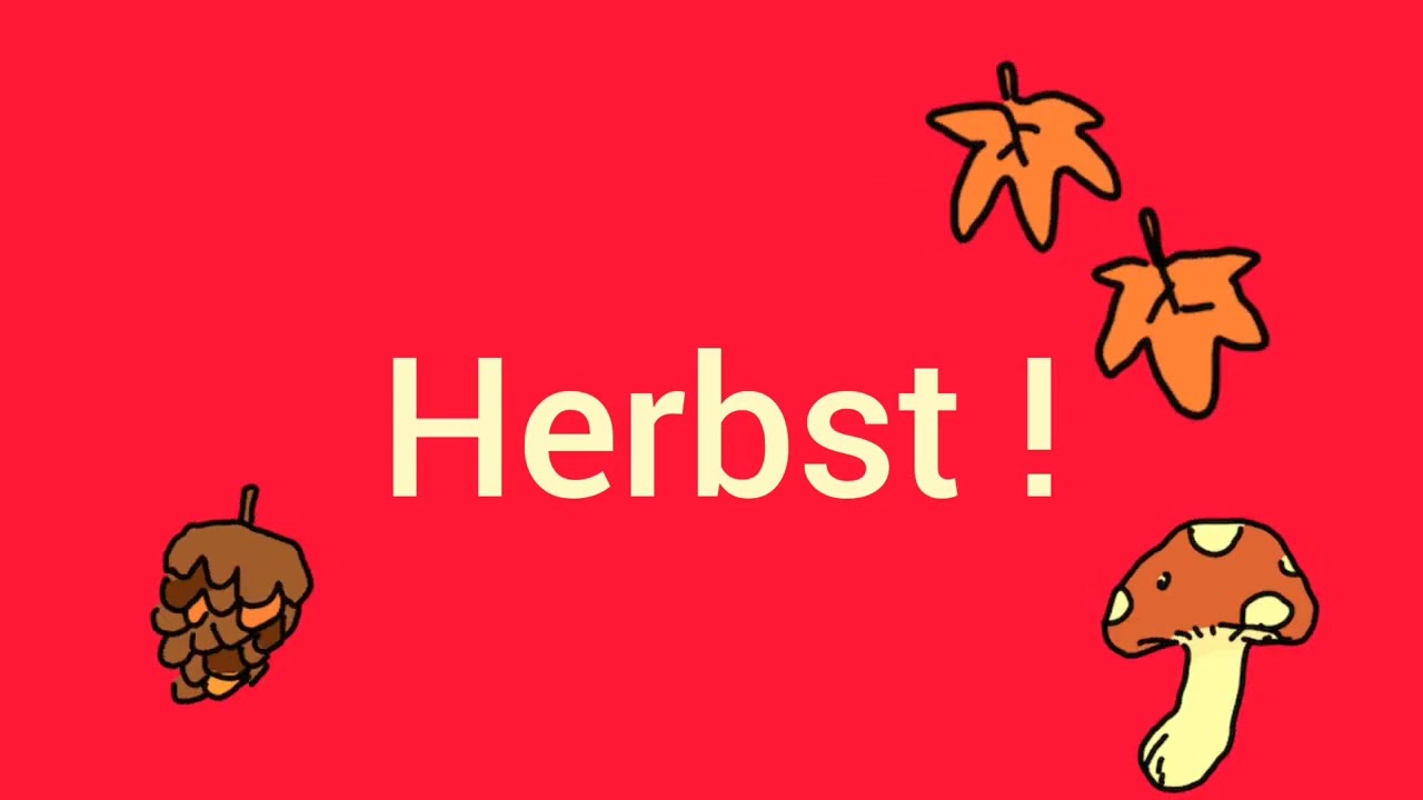Herbst!🍁🍂🍄