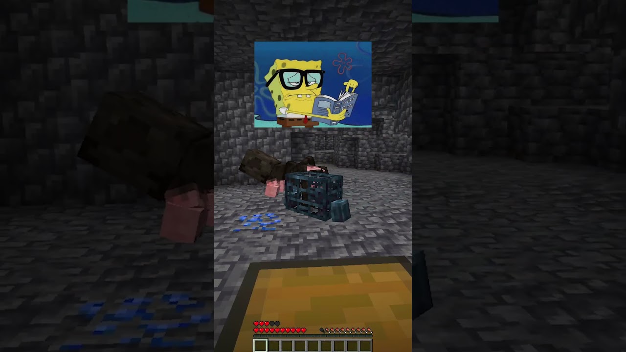 CHOWANY w MINECRAFT ale NIE MAMY M&Oacute;ZGU XDDD