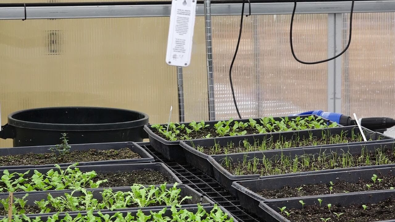 Springfield Community Gardens joins regional partnership to support local farmers and growers