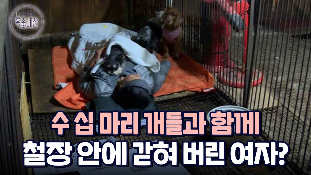 개들과 함께 철장 안에 갇힌 여자의 정체는｜다시보는 특종세상 317회