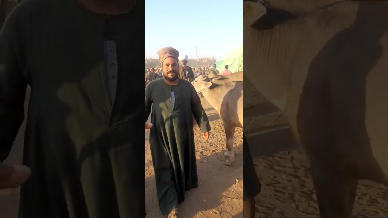 الاسطوره بيشترى شبه من سوق الثلاثاء مركز المنشاه محافظة سوهاج