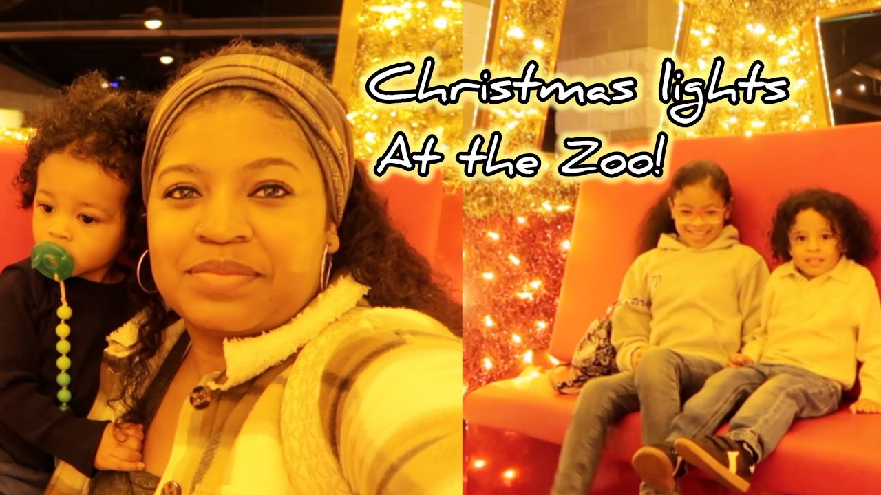 A Night Out : Family Time at the Zoo Christmas Lights!