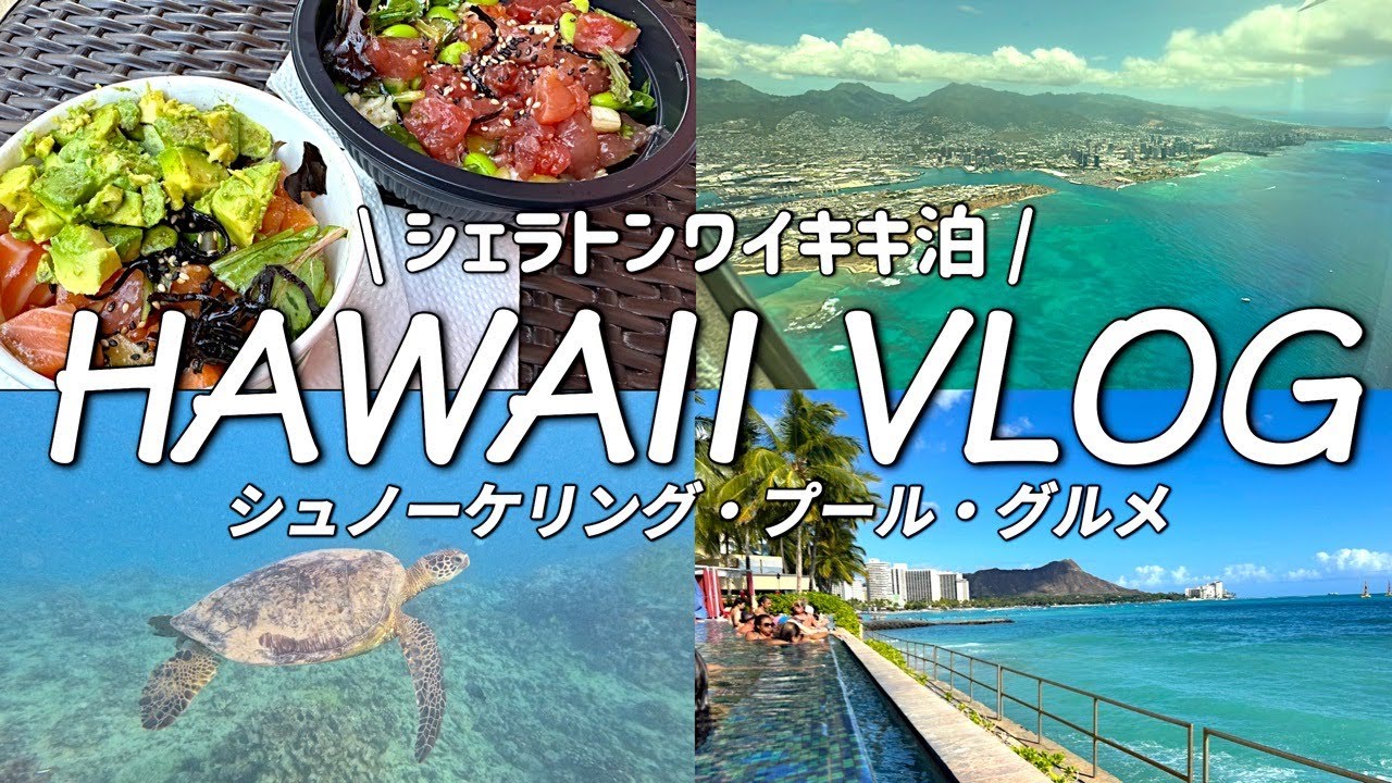 【ハワイ③】感動！ワイキキ沖でホヌと泳ぎ、シェラトンワイキキのプールを楽しむ！ステーキシャック・マグロスポット・高橋果実店・カイコーヒーなど美味しい物巡り♪