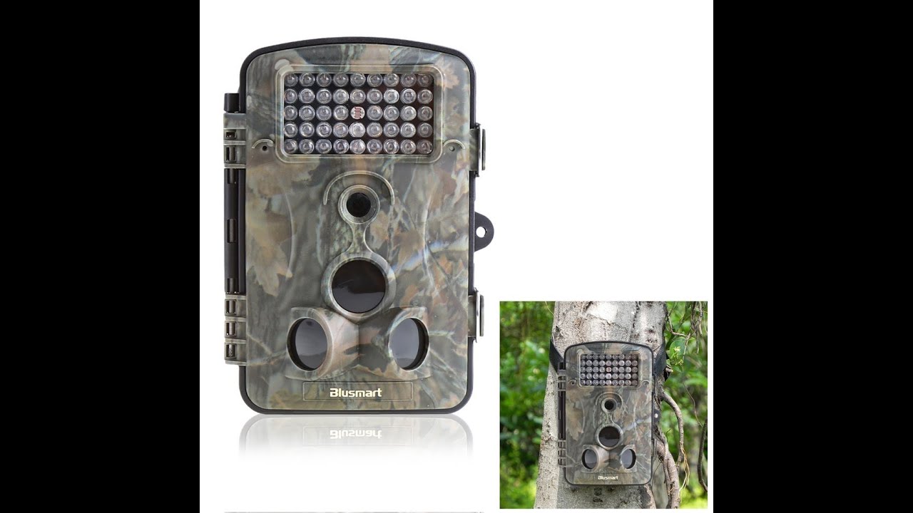 Review of: Wildlife/surveillance/trail outdoor camera by Blusmart