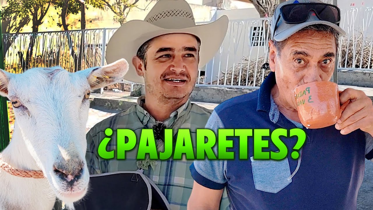 ORDEÑAMOS UNAS CHIVAS para hacer unos RICOS PAJARETES