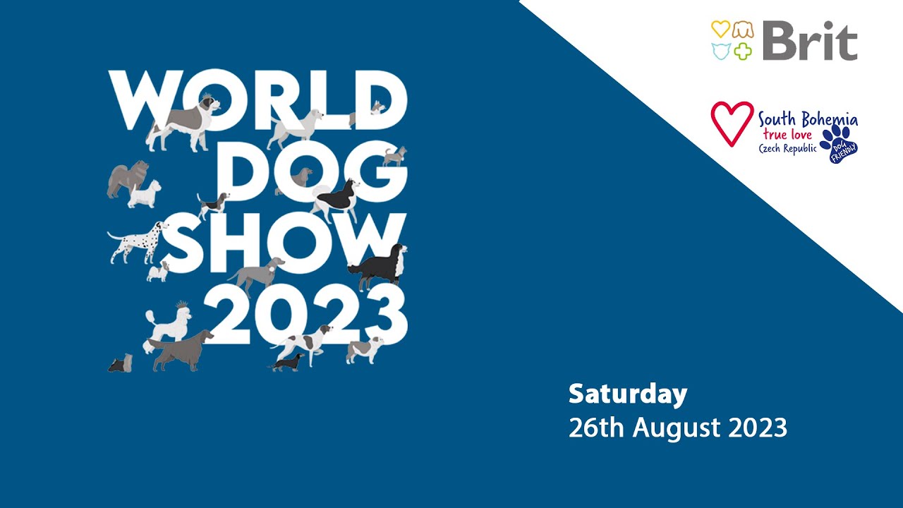 WDS 2023 - Saturday