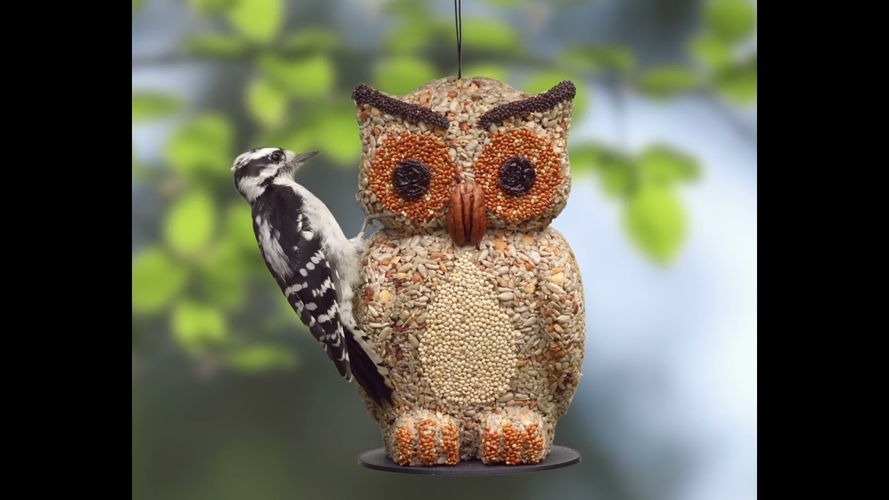 Gifts for bird lovers