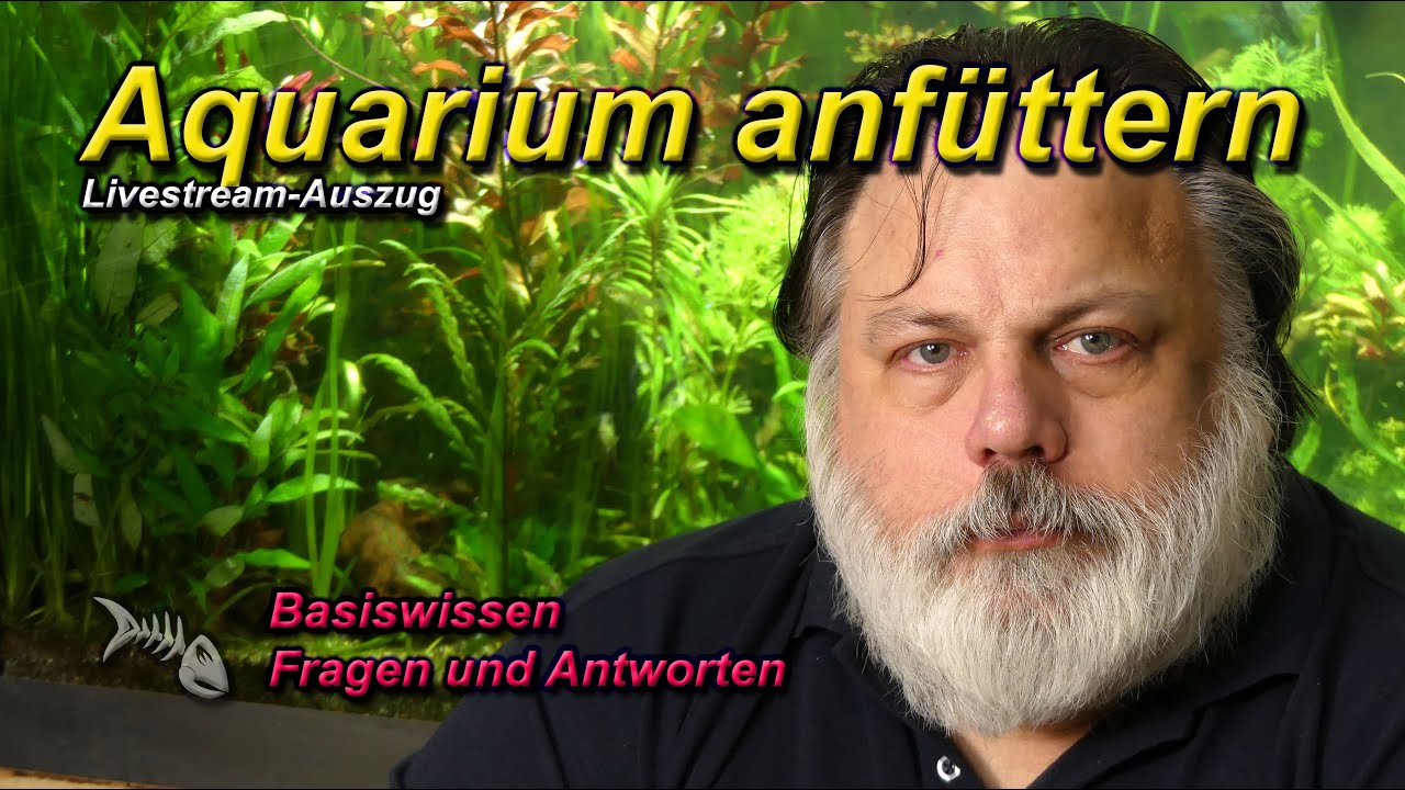 Einfahrzeit - Kann man ein frisch aufgesetztes Aquarium durch 
