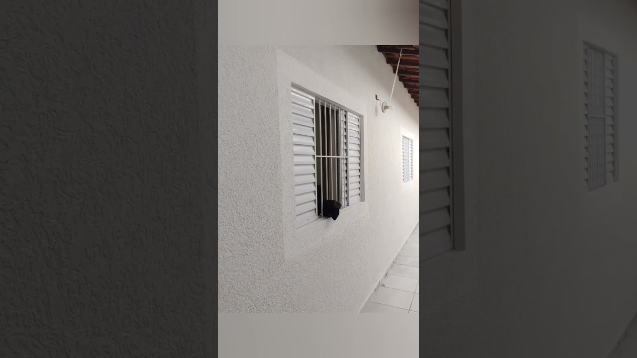 GRAFIATO EM &Aacute;REA EXTERNA #grafiato #shortsvideo #shortvideo #shorts #short #shortsfeed