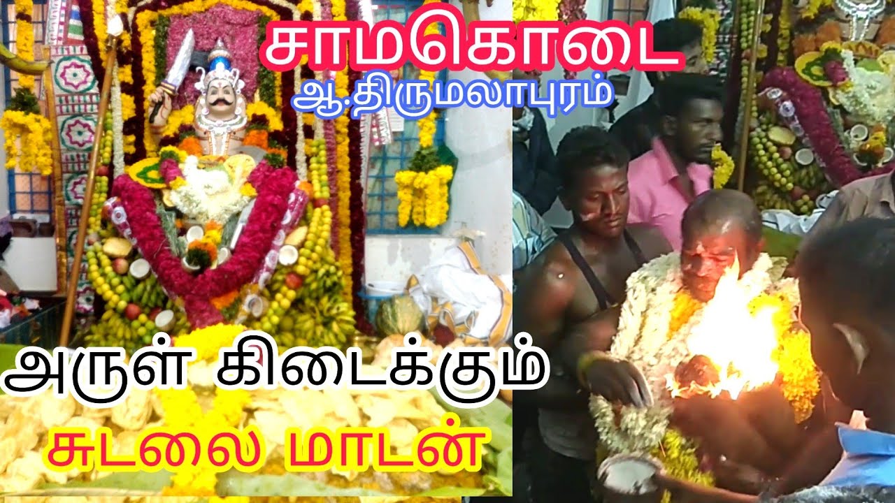 Amman kovil kodai Samakodai in #Thirumalapuram ll #Sudalai_Madan Swamy