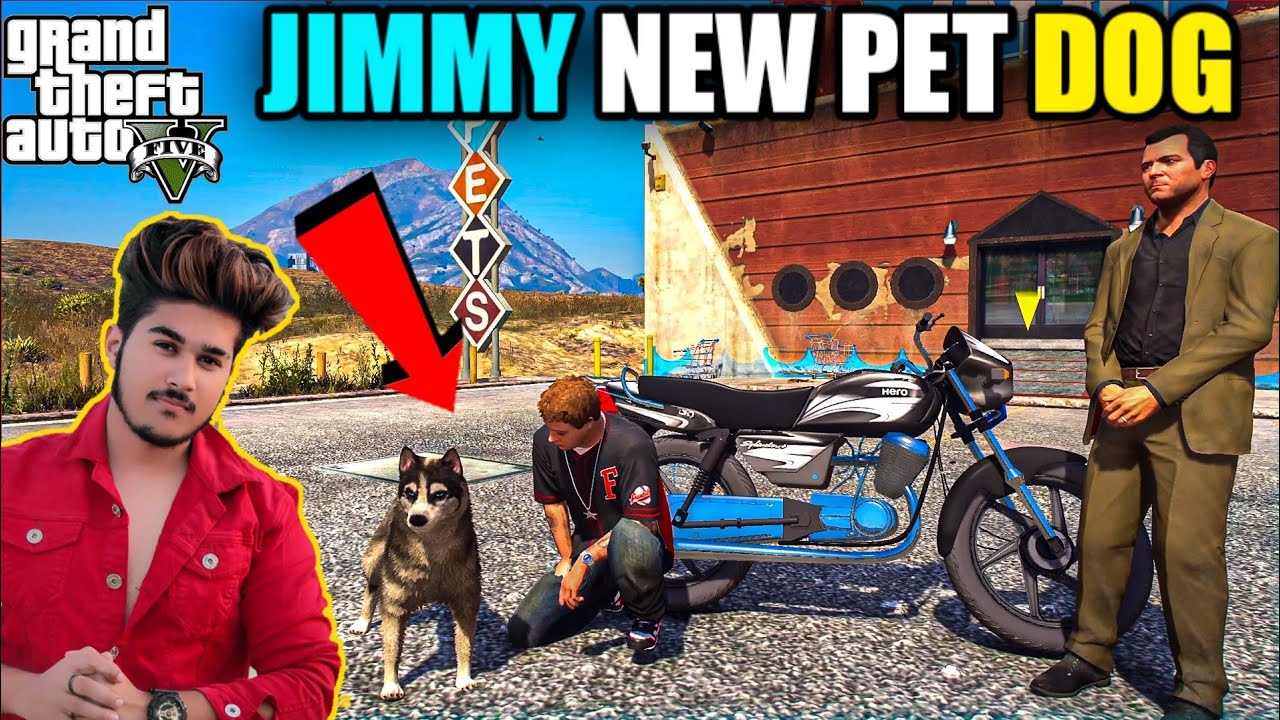 GTA 5: НАКОНЕЦ-ТО ДЖИММИ НЕ ЛЬЕ, НОВАЯ СОБАКА 🐕 LE HI LIYA 🔥🔥