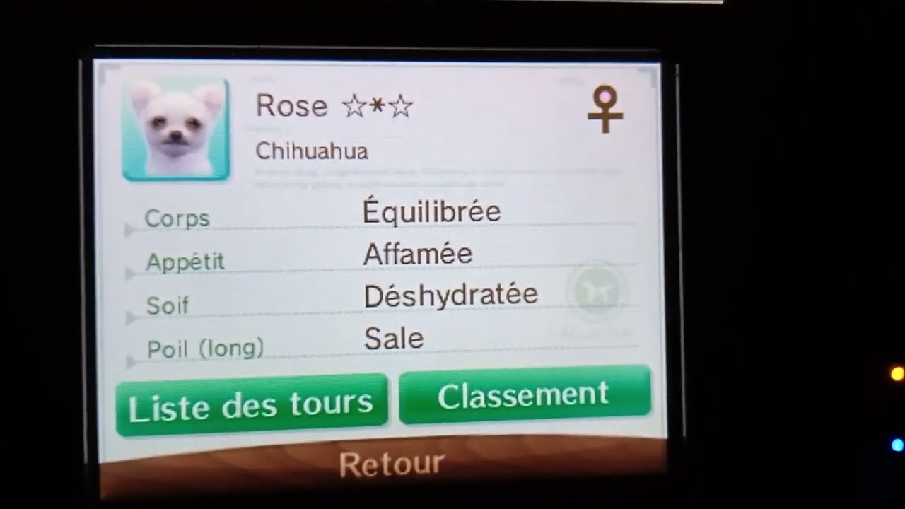 Nintendogs+Cats V.B [ Entraînement au Disque au Parc avec Rose + la 8ème Balade ]