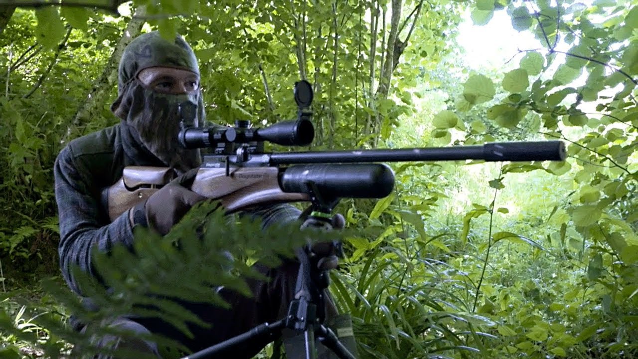 The Airgun Show – summer squirrels with the Daystate Red Wolf PLUS PAO Emerald Compact SWAT on test