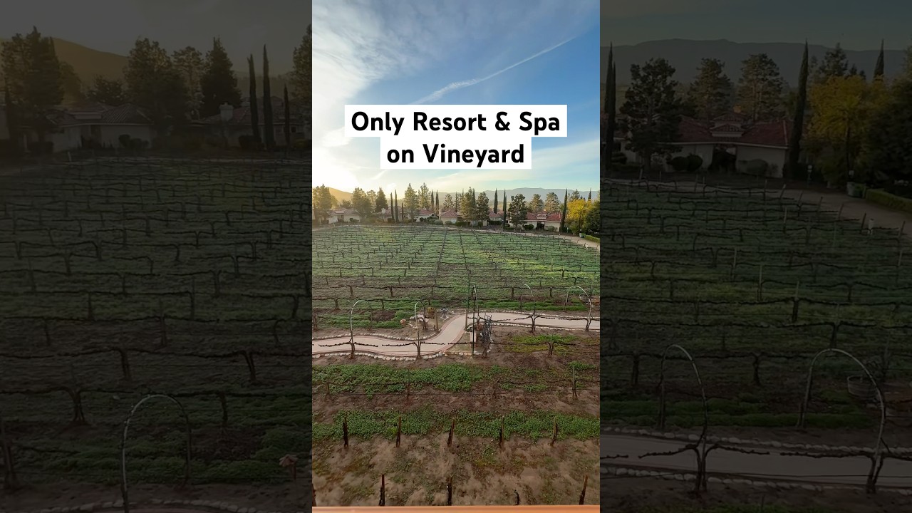The ONLY resort and spa on a vineyard in Temecula 🍇 #travel #socal #losangeles