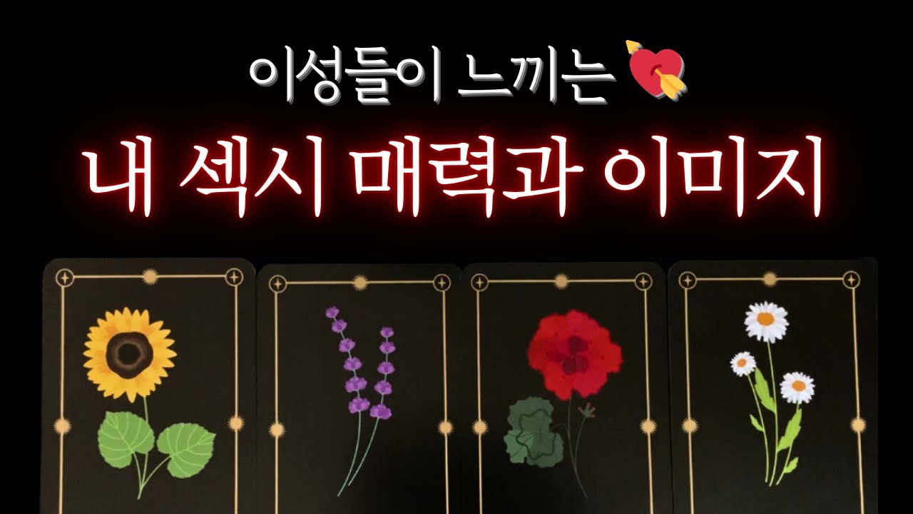 [타로]🌹소름 쫙❗️내 섹시 매력🔥 이성들이 참지 못하는 포인트💋 #타로 #이미지타로 #매력타로 