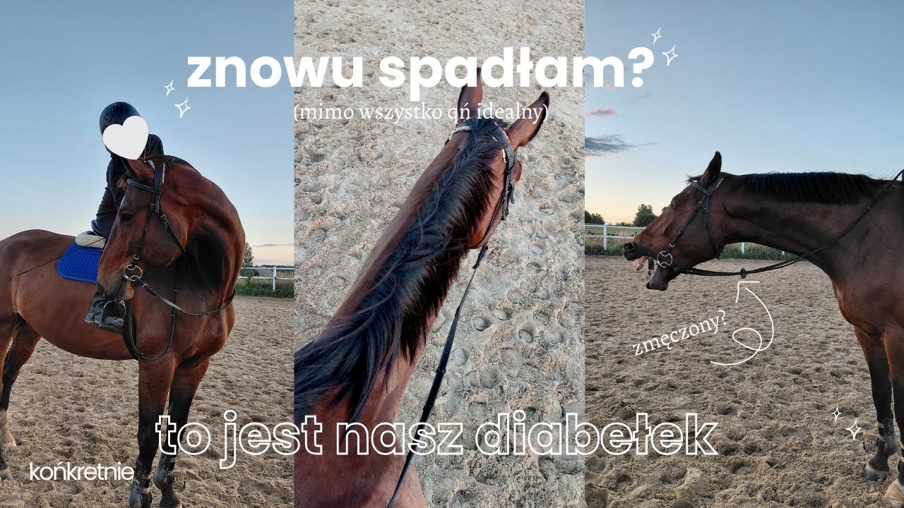 TO JEST NASZ MAŁY, STAJENNY DIABEŁEK