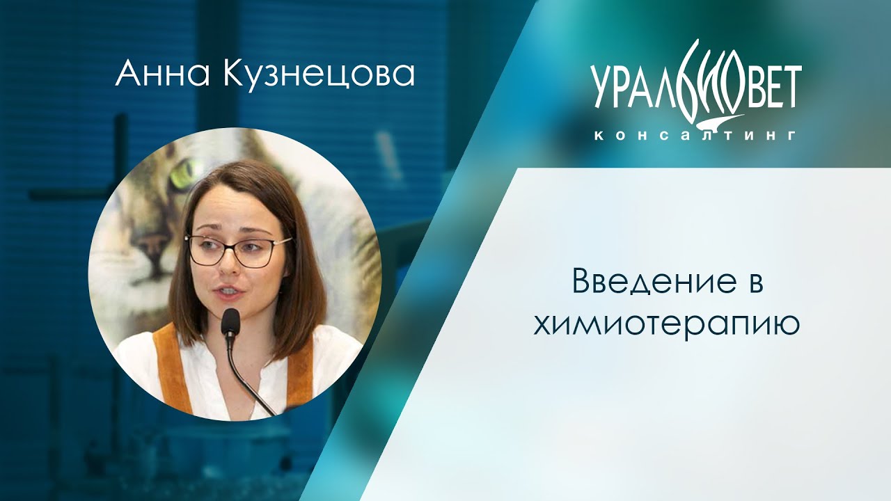 Вебинар 