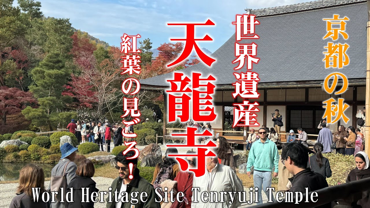 【京都】紅葉の世界遺産 天龍寺  Tenryuji Temple, a World Heritage Site in Kyoto