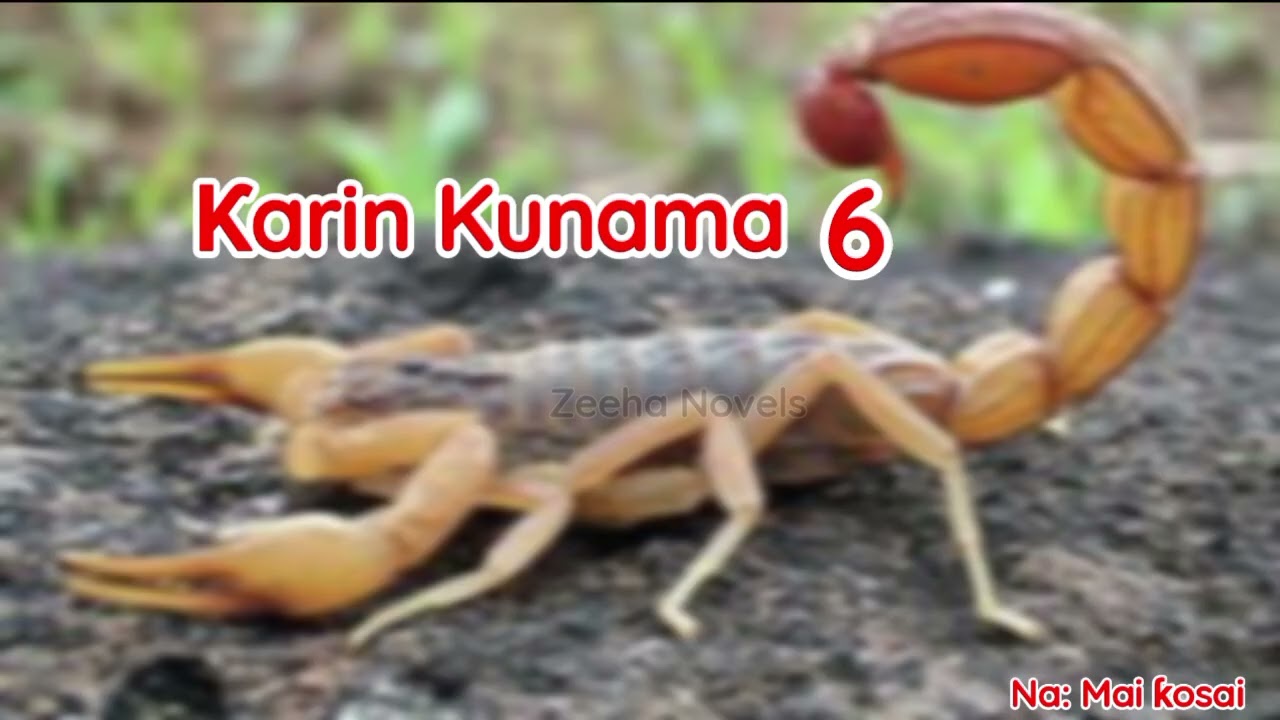 Karin Kunama 6, Labari mai cike da Sarƙaƙiya, Yaudara da Mugunta 