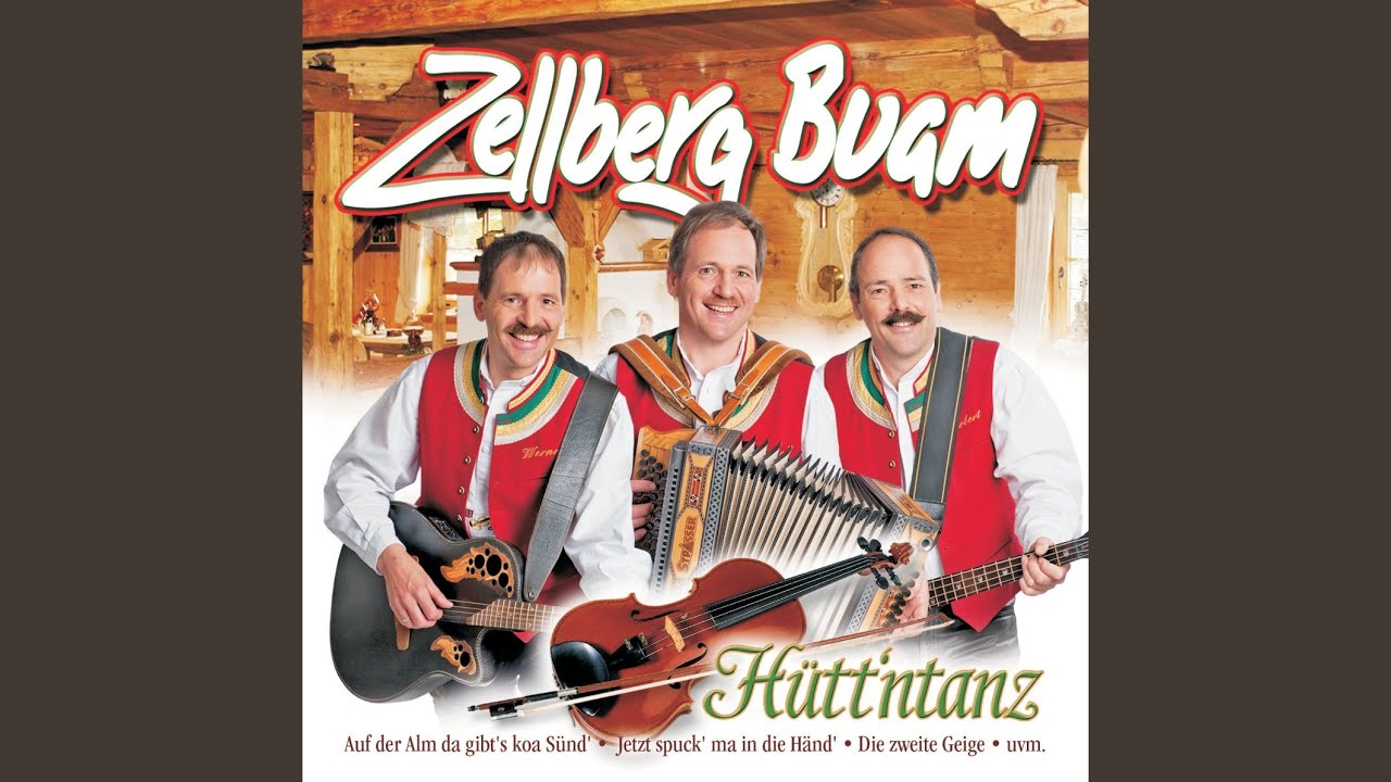 Die zweite Geige
