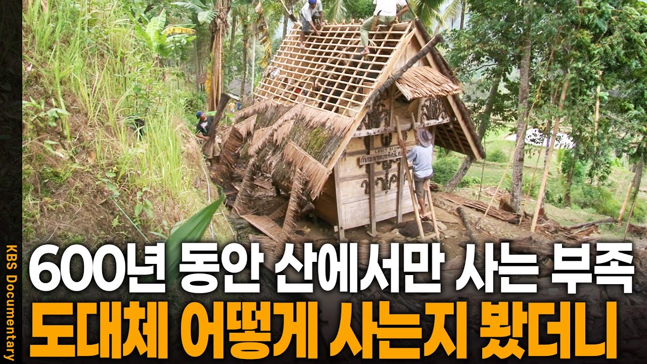 600년 넘게 숲에서만 사는 인도네시아 부족은 어떻게 살까? | KBS 20120201 방송