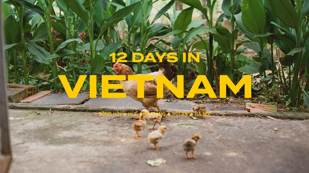 12 дней во Вьетнаме – Часть 1: Деревня, Хюэ, Дананг и Хойан 🇻🇳 ♥️ | Воспоминания, места, где можн...