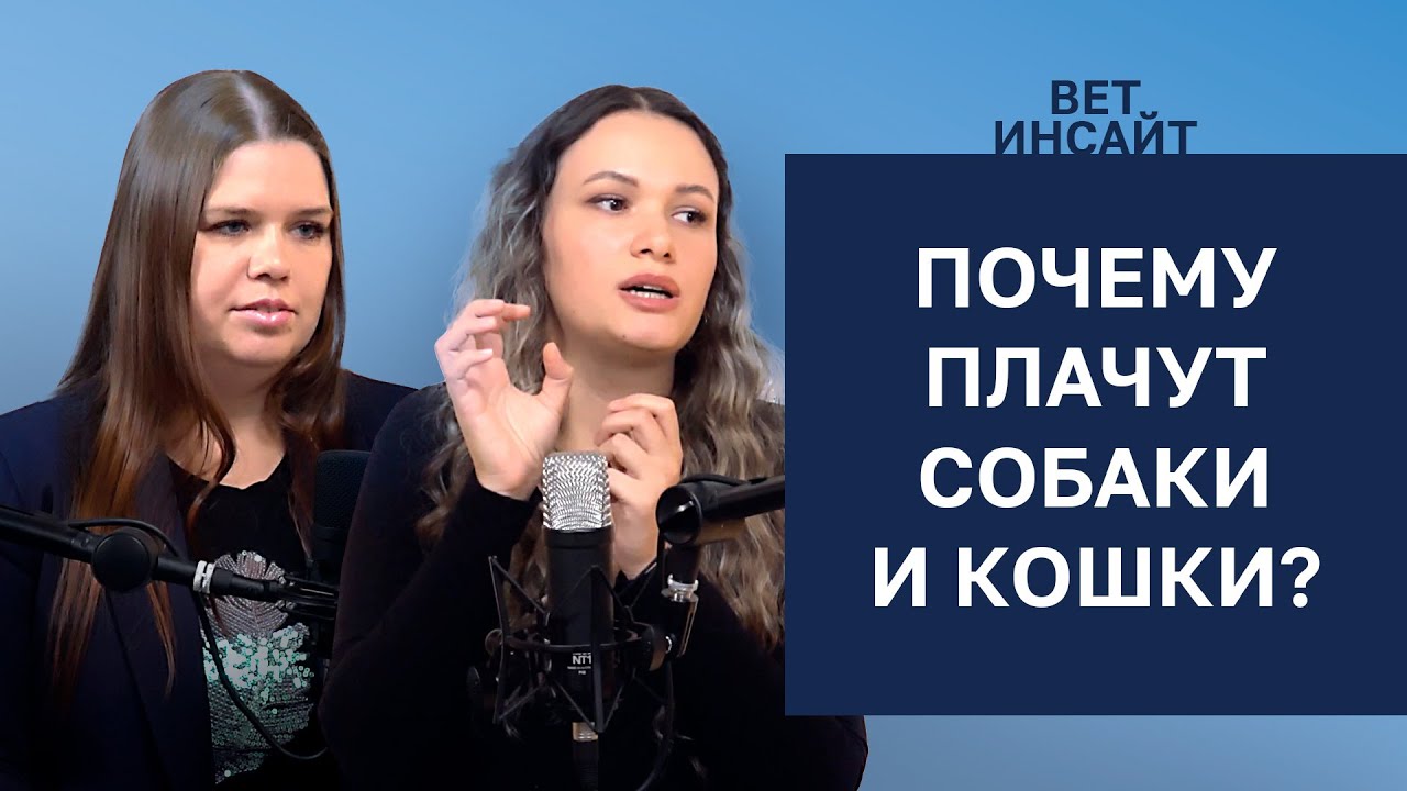 Почему кошки и собаки «плачут»?