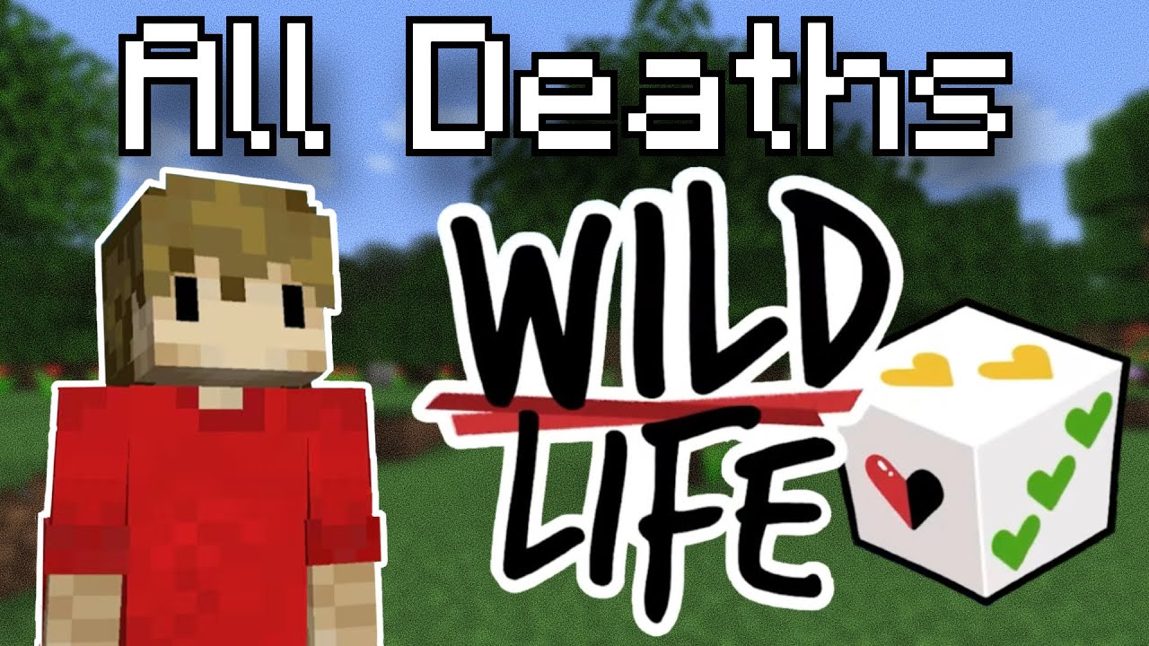 EVERY DEATH IN THE WILD LIFE SMP