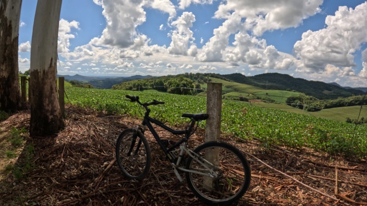 Biking through Brazilian countryside
