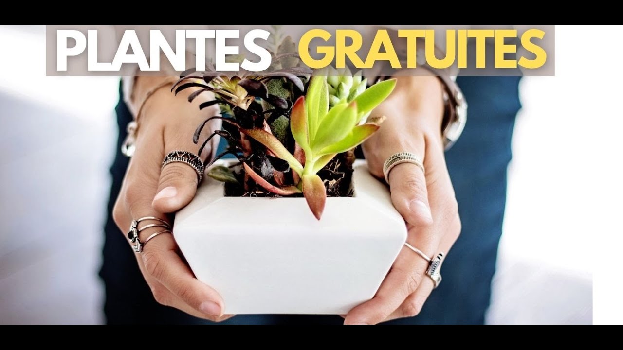Comment avoir des plantes GRATUITES ?!
