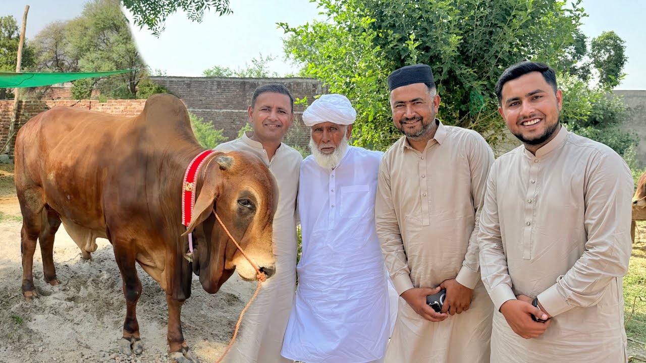 Eid Ul Adha Mubarak ( 2025 )