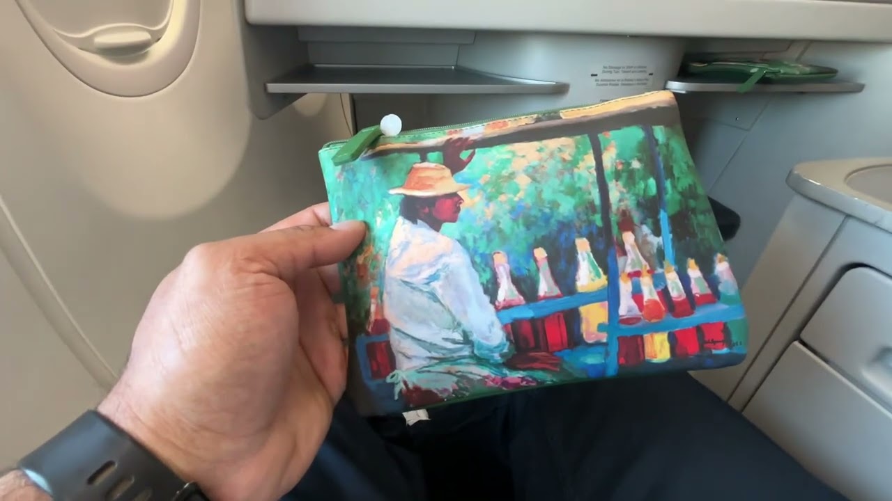 Copa Airlines Business Class 737 Max 9, Santiago Chile to Panama City Panama