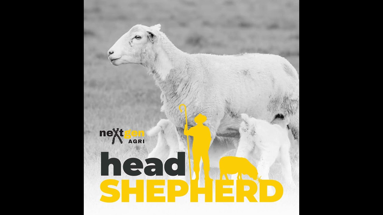 Lessons from moving sheep genetics around the world with Ian McDougall